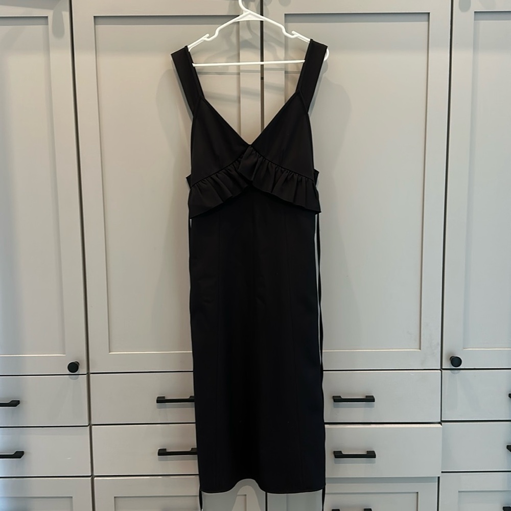 NWOT incredible Plan C dress!